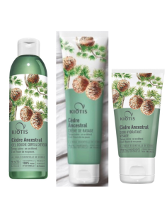GEL DOCCIA CORPO E CAPELLI AGLI OLII ESSENZIALI DI CEDRO  KITIOS|STANHOME ONLINE