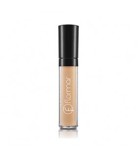 PERFECT COVERAGE LIQUID CONCEALER |STANHOME ONLINE